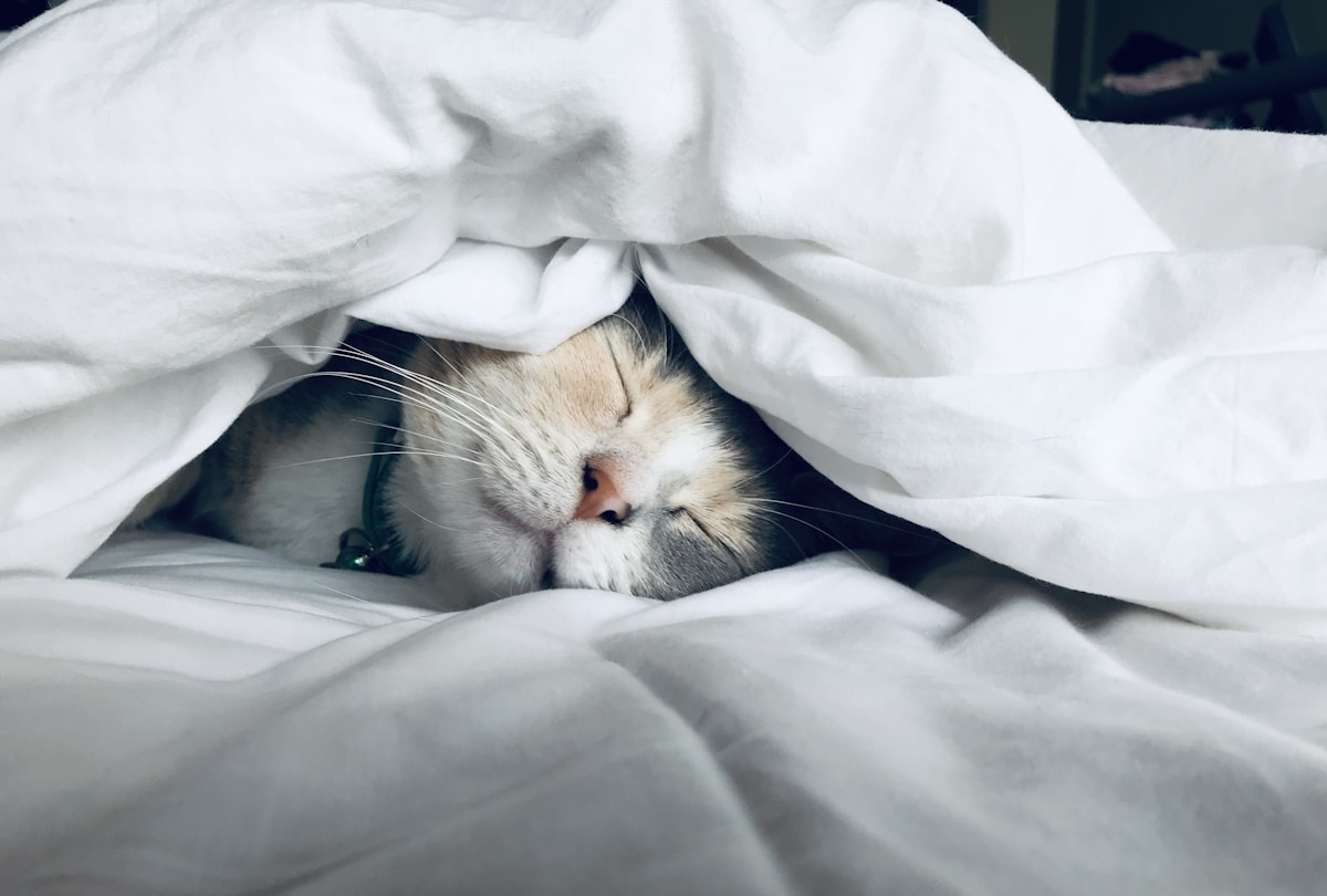Sommeil réparateur pour récupérer d'une fatigue persistante